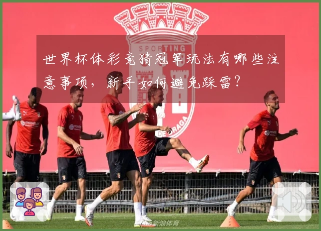 世界杯体彩竞猜冠军玩法有哪些注意事项，新手如何避免踩雷？