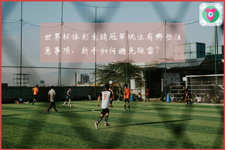 世界杯体彩竞猜冠军玩法有哪些注意事项，新手如何避免踩雷？