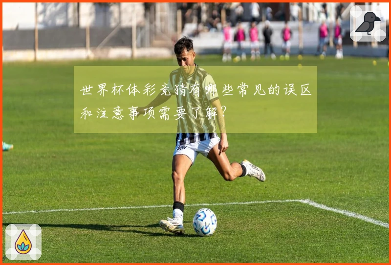世界杯体彩竞猜有哪些常见的误区和注意事项需要了解？